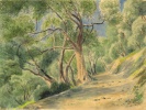 Louis Lecarme. Bois d'Olivier  Villefranche sur mer, 1944. 24,5x33cm.