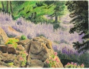 Louis Lecarme. Digitales au lac d'Allos, 1946. 24,5x33,5cm.