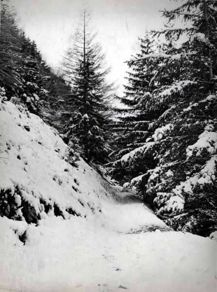 Lus la Croix Haute