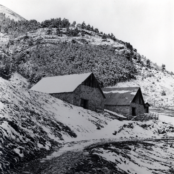 Lus la Croix Haute