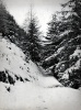 Lus la Croix Haute