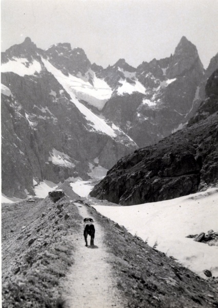 Le Glacier Noir; Pic Coolidge