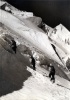 Monte aux crins