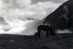 Le Plan de l'Aiguille