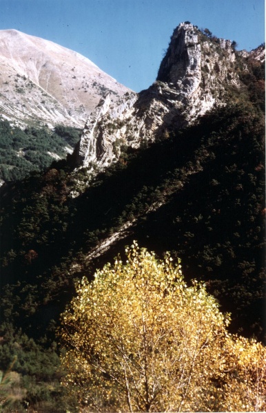 Au Nord de Prads sous le Tromas