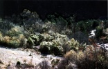 La Blone (Eaux chaudes)