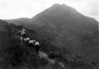 Monte  Cousson, 1905