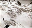 13-18 aot 1925 - Oisans: glacier de la Pilatte