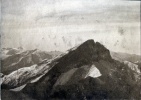 Solane