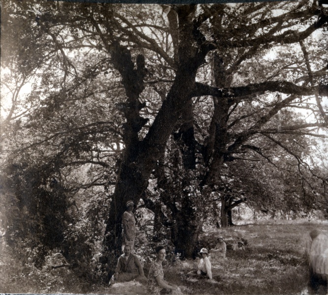 1928 - St Vincent