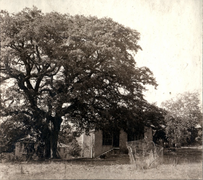 1928 - St Pierre