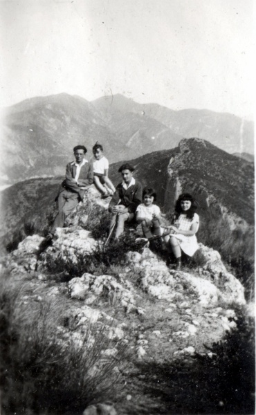 1931