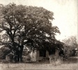 1928 - St Pierre