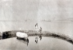 aot 1929