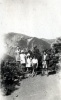 1931