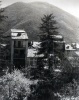 1933
