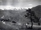 1er mai 1951, Sinard : Jacqueline, Philippe