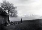 1er mai 1951, Sinard : Irne, Jacqueline, Nicolas, Dominique, Olivier ; Philippe, Genevive, Agns, Pierre