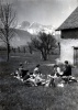 1er mai 1951, Sinard : Nicolas, Dominique, Olivier ; Pierre, Agns, Jacqueline, Isabelle, Irne, Philippe, Genevive