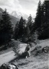 route du col des Montets, 12 aot 1951 : Genevive