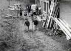 Les Contamines, aot 1951 : Christophe, Sylvie ; Jacques, Jrme, Catherine, Anne, X, Madeleine ; Vincent, Genevive
