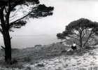 Vue sur l'tang de Berre, avril 1952 : Genevive