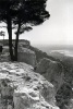Vitrolles, avril 1952 : Genevive