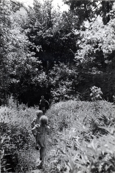 Digne, le jardin