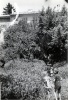 Digne, le jardin