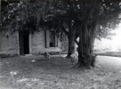 Narbonne, t 1947: Philippe, Jacqueline