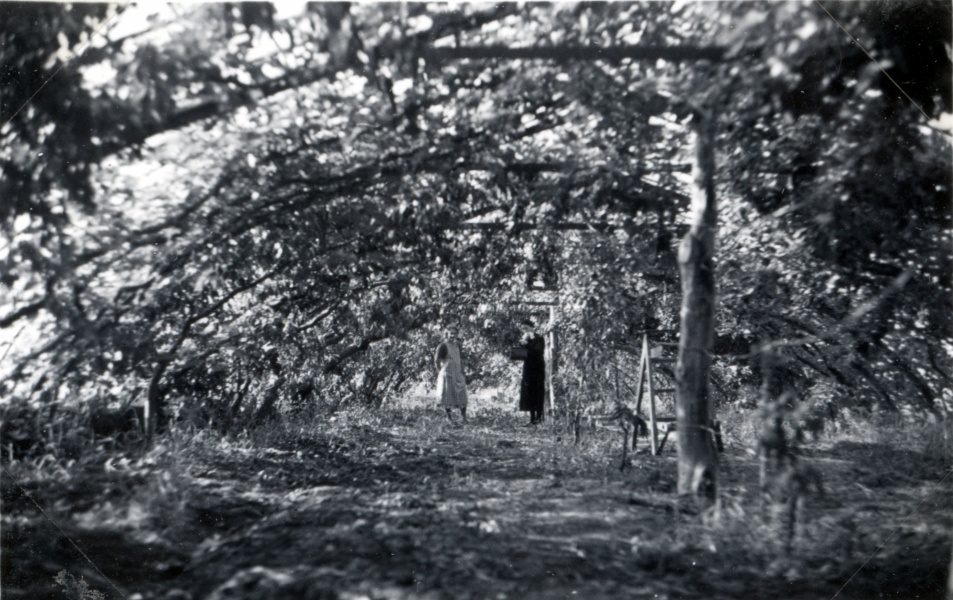 Serres de Kerlaran