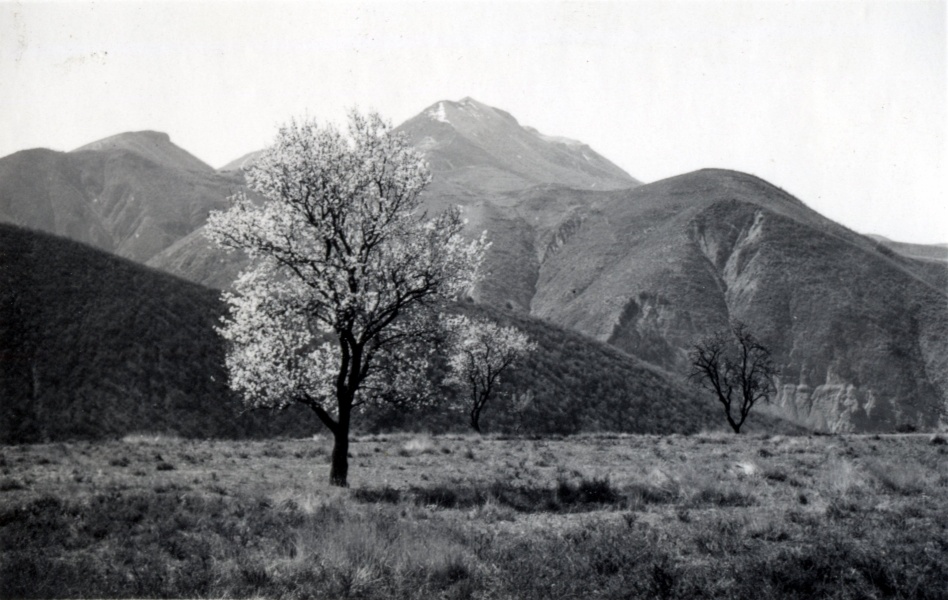 Cousson, Caramantran