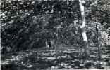 Serres de Kerlaran