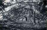 Serres de Kerlaran
