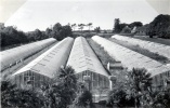 Serres  Kerlaran