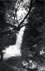 Gorges du Furon