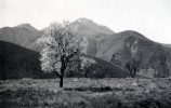 Cousson, Caramantran