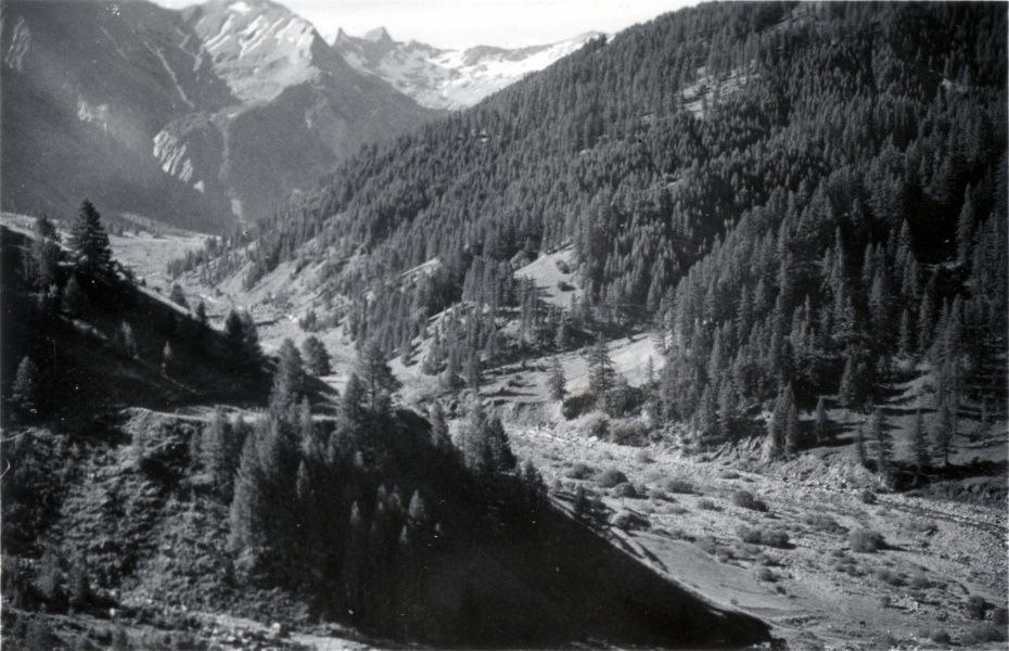 La Blanche au Laverq