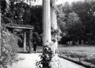 Parc de la Tte d'or