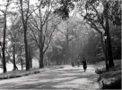 Parc de la Tte d'or