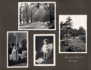 Parc de la Tte d'or, t 1942