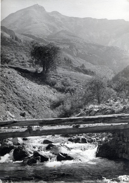 Mont Pelat
