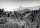 Olivier  St Vincent - avril 1941 : pic de Couar, barre des Dourbes