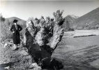 Chemin le long de la Blone - Les Siyes 1941 (Genevive)