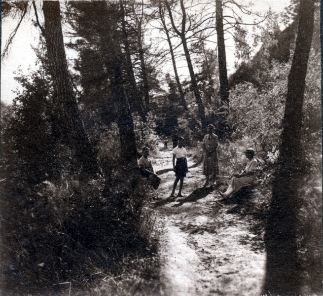 1934 - Mirous