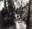 1934 - Mirous