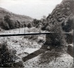 1934 - Genevive