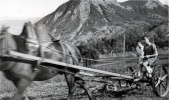 1934 - Michel