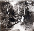 1934 - Genevive, Jeanne
