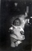 octobre 1936 - Lyon: Jacqueline